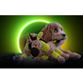 Miniatyrbillede 3 af 3: Retrodog Donkey Yellow M