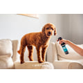 Pikkukuva 2 / 2: Animology Puppy Fresh Refreshing Spray