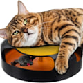 Miniatyrbild 1 av 11: En leksak för en katt - ett hjul med en mus