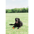 Miniatyrbillede 5 af 6: Chuckit! Air Fetch Ball Medium