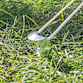 Pikkukuva 7 / 7: Tentpeg 30cm metalli uurrettu 2 kpl polybag