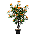 Miniatyrbillede 1 af 5: Kunstig Camellia Tree Falsk Blomstrende Camellia Plante Grøn + Gul