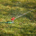 Miniatyrbillede 5 af 9: Havesprinkler 12 m rækkevidde
