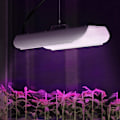 Pikkukuva 5 / 9: Kasvien kasvulamppu täysi spektri 25 x 17 cm 136 LED 100 W hopea