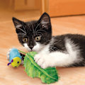Miniatyrbild 3 av 3: KONG Flingaroo CATERpillar