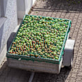 Miniatyrbild 2 av 9: Nät för släpvagn 3 x 4 m