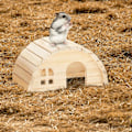 Miniatyrbillede 2 af 6: Hamsterhus i træ