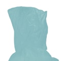Pikkukuva 7 / 8: 10 kappaleen kertakäyttöinen ponchosetti Green one size
