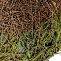 Miniatyrbillede 8 af 8: Pindsvinehus Igloo
