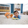 Pikkukuva 7 / 7: Fisher-Price Sensimals Saukko