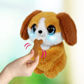 Miniatyrbillede 5 af 6: Mine fuzzy Friends Ziggy