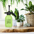 Miniatyrbillede 2 af 9: Tryksprøjte 2 liter grøn