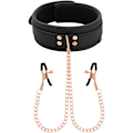 Miniatyrbild 4 av 10: Coquette Chic Desire - Fantasy Nipple Clamp Halsband med neoprenfoder