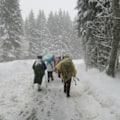 Miniatyrbillede 2 af 8: Engangs poncho sæt med 10 stk Yellow one size