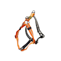 Pikkukuva 2 / 4: AFP Off Street Dog Non-pull -valjaat Tangerine M