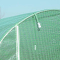 Pikkukuva 8 / 10: Film Greenhouse Tomaattikasvihuone Ikkunalla, Polytunnel, Vihreä, 500X200X210Cm