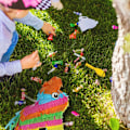 Pikkukuva 5 / 8: Pinata Aasi