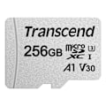Pikkukuva 1 / 2: microSDXC 256 Gt U3 (R95/W40)