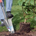 Pikkukuva 2 / 2: Root Slayer - Puutarhalapio - Alkuperäinen