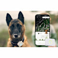 Miniatyrbillede 5 af 8: Lildog 2 GPS Tracker til hunde