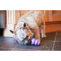 Miniatyrbild 4 av 4: KONG Senior S 7,6 cm