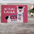 Pikkukuva 5 / 7: Ovimatto Llama