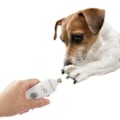 Miniatyrbillede 3 af 4: AFP Pet Salon - Neglesliber