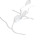 Miniatyrbillede 8 af 10: Shunga - Zoa Intimate Massager Pink