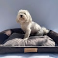 Miniatyrbillede 5 af 7: Hundeseng brun XL med personalisering