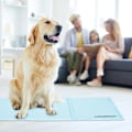 Miniatyrbillede 2 af 7: Kølemåtte til hunde
