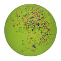 Miniatyrbillede 2 af 4: Dog Comets Ball Stardust Orange L