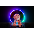 Miniatyrbillede 3 af 3: Retrodog Donkey Blue M
