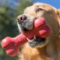 Miniatyrbild 5 av 6: KONG Goodie Bone S 4,8 cm x 13 cm