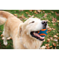 Miniatyrbillede 1 af 2: Chuckit Ultra Squeaker Ball M 6 cm 1 stk.