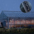 Miniatyrbild 4 av 4: Växthusglasklämmor Glasklämmor 304 rostfritt stål silverfjädertråd reservdelar (100 st)