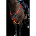 Miniatyrbilde 1 av 4: LED BRYSTHEST. LADBAR. FULL