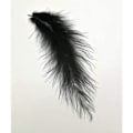 Miniatyrbillede 3 af 5: REMAKE 100 stk Sorte Fluffy Tyrker Marabou Fjer 4-6 Tommer Til Håndværk Drømmfangere Kant Trim Farvede Fjer Flybinding Materialer