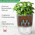 Miniatyrbild 4 av 5: Kruka för örter, fönsterbräda, självvattnande, köksträdgård för färska örter