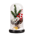 Miniatyrbilde 2 av 5: Glasskål juleplanter julepynt Glasskål