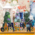 Miniatyrbild 5 av 5: Succulent Julgran, Juldekoration för inomhusbord, Julgranshartsborddekorationer