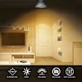 Miniatyrbild 4 av 5: Paket med 8 GU10 halogenlampor 35W, 220V GU10 halogenspotlightlampor 2800K varm med
