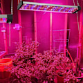 Pikkukuva 3 / 5: LED-kasvilamppu