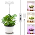 Miniatyrbilde 2 av 5: REMAKE Plantelys, fullspektrum og rødt og blått spektrum plantelys for potteplanter
