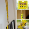 Miniatyrbilde 3 av 5: Fluesnapper fluesnapper fluesnapperrull 16-pakning