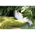 Pikkukuva 5 / 5: 60 cm Puutarha reunus Palisadit Puutarha reunus nurmikko Parterre Rattan näköinen Musta