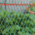 Miniatyrbilde 5 av 5: Solid fuglenett for hage gjerde og plantebeskyttelse netting anti-fuglenett hjort katt hund kylling nett fiskenett (Grønn 4×10m)