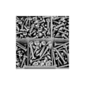 Miniatyrbild 1 av 5: 500-pack sortiment av M3 självgängande skruvar, platta huvuden Phillips-skruvar och träbox (rostfritt stål)