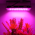 Miniatyrbillede 3 af 5: CDQ 50W LED Full Spectrum vækstlys til blomster Hydropon