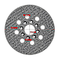 Miniatyrbilde 4 av 5: Bosch Gex 125-1 Ae, Pex 220 A, Pex 220 Ae Slipepute - 5 tommer 125 mm borrelås