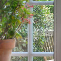 Miniatyrbild 5 av 5: Fönsterfälla för skadedjur 20-pack Transparent